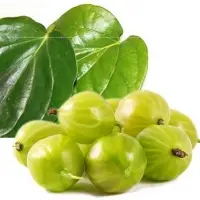 Gooseberry