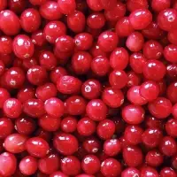 Cranberry