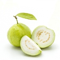 Guava
