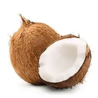 Coconut