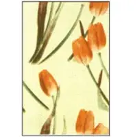 White ivory printed tiles