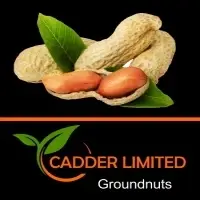 Groundnuts