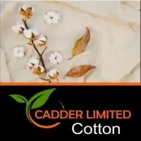 Cotton