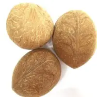Coconut Copra