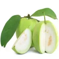Fresh Guava