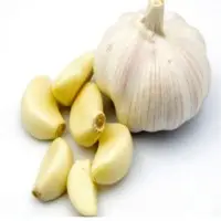 Fresh Garlic