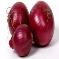 Fresh Red Onion