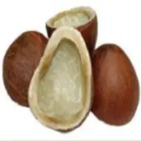 Dried Coconut