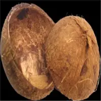 Coconut Shells