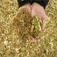 Corn Silage