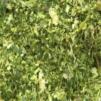 Corn Minced