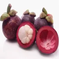 Mangosteen