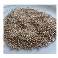 Quinoa