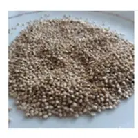 Quinoa
