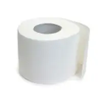 Toilet Tissue