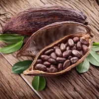 Cocoa Beans