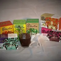 Chaga Mushroom Tea