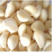 Fresh Garlic