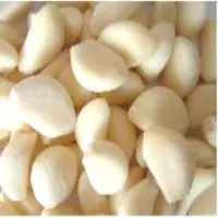 Fresh Garlic