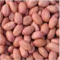Peanuts Kernel