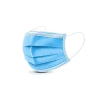 3 Ply Mask