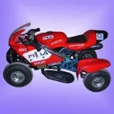 Mini quad bike