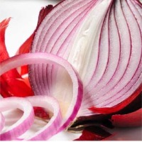 Fresh Red Onion