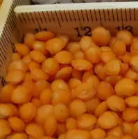 Red Lentils Football