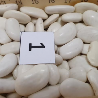 Lopatka Beans