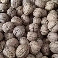 California Inshell Walnuts