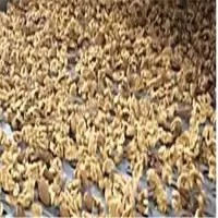 California Shelled Walnuts