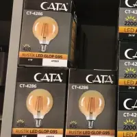 Electric Light Bulb