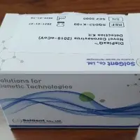 Diaplexq 2019-ncov Detection Kit