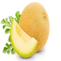Melon