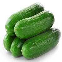 Cucumber
