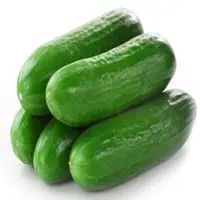 Cucumber