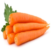 Carrot
