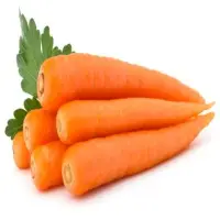Carrot
