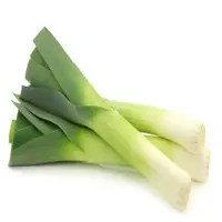 Leek