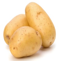 Potato