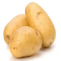 Potato