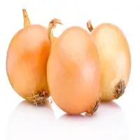 Onion