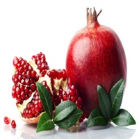 Pomegranate