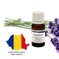 Lavender Essential Oil