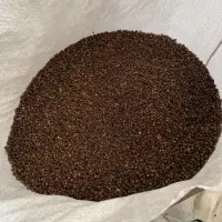 Black Peppercorn