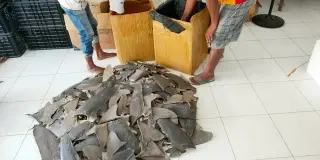 CV. Karya Nelayan company image 2