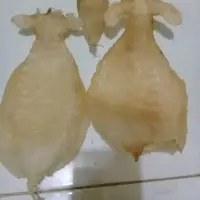 Fish Maw