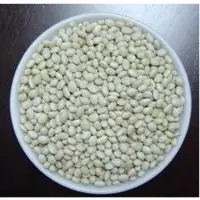 White Kidney Bean Extracts