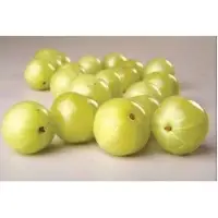 Phyllanthus Emblica (Amla)