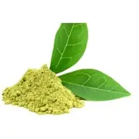 Green Tea Extracts